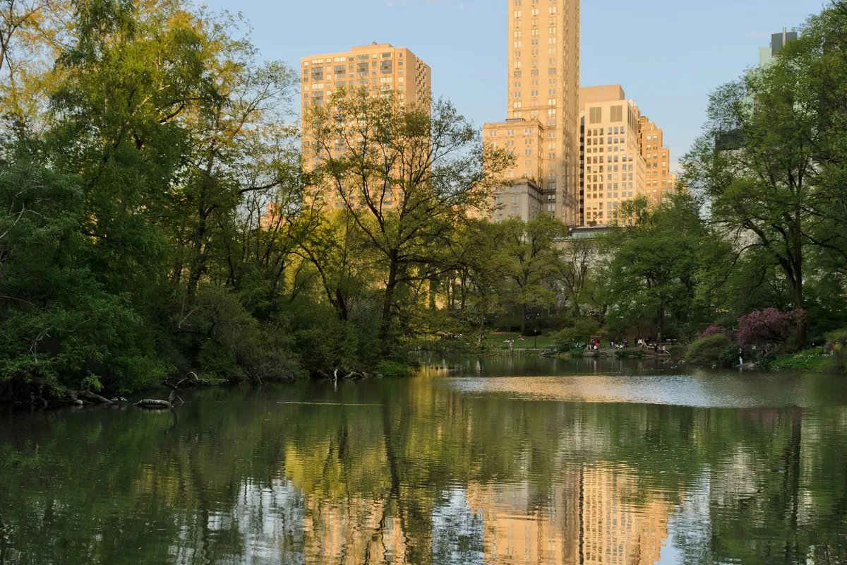 The Pierre on Fifth Avenue at 61st Street reflected in the Pond in Central Park, a short walk west of The Carlton House (the neighborhood, not the building)